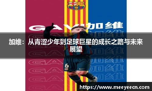 BB贝博艾弗森体育