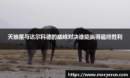 中国·BB贝博艾弗森