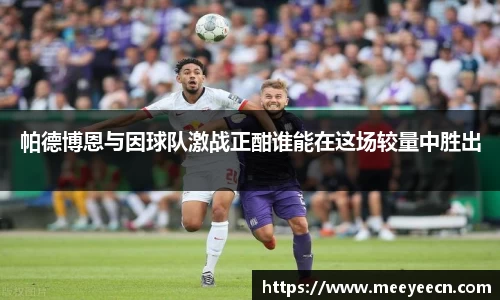 BB贝博艾弗森体育