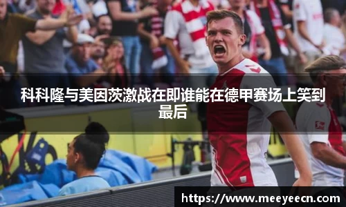 中国·BB贝博艾弗森