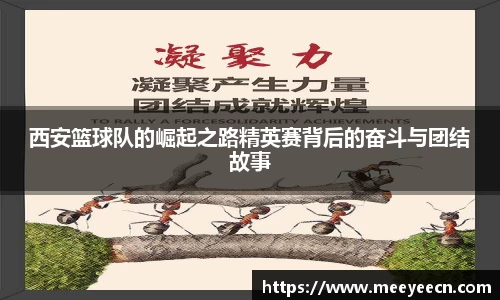 BB贝博艾弗森体育