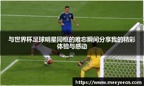 BB贝博艾弗森体育