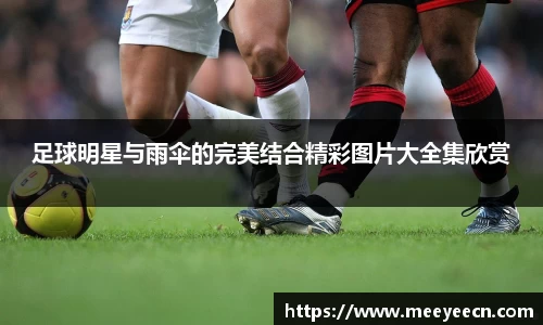 BB贝博艾弗森体育