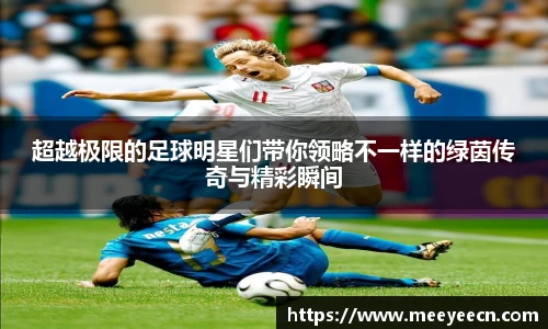 BB贝博艾弗森体育