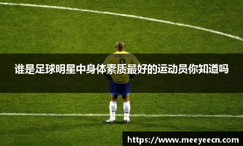 中国·BB贝博艾弗森