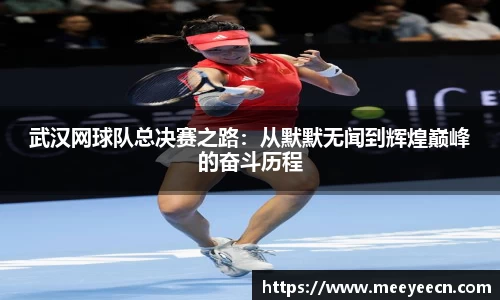 BB贝博艾弗森体育