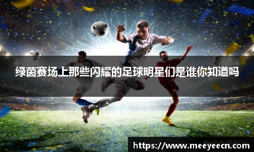 绿茵赛场上那些闪耀的足球明星们是谁你知道吗